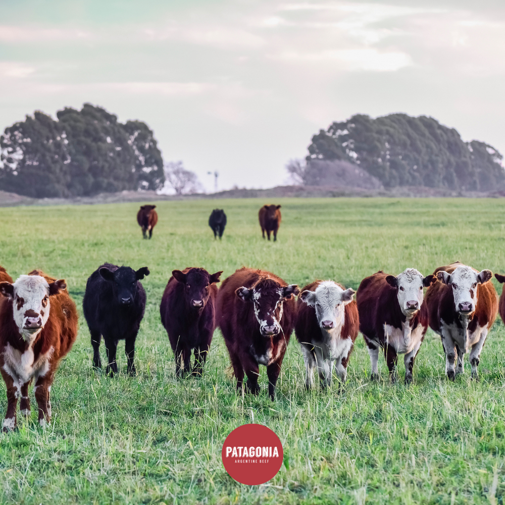 What makes argentine beef taste so good?